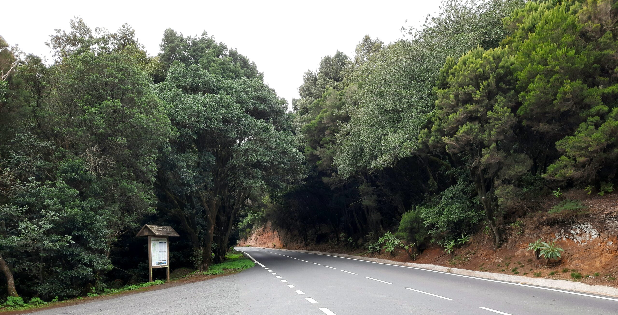 A day on La Gomera from Los Gigantes
