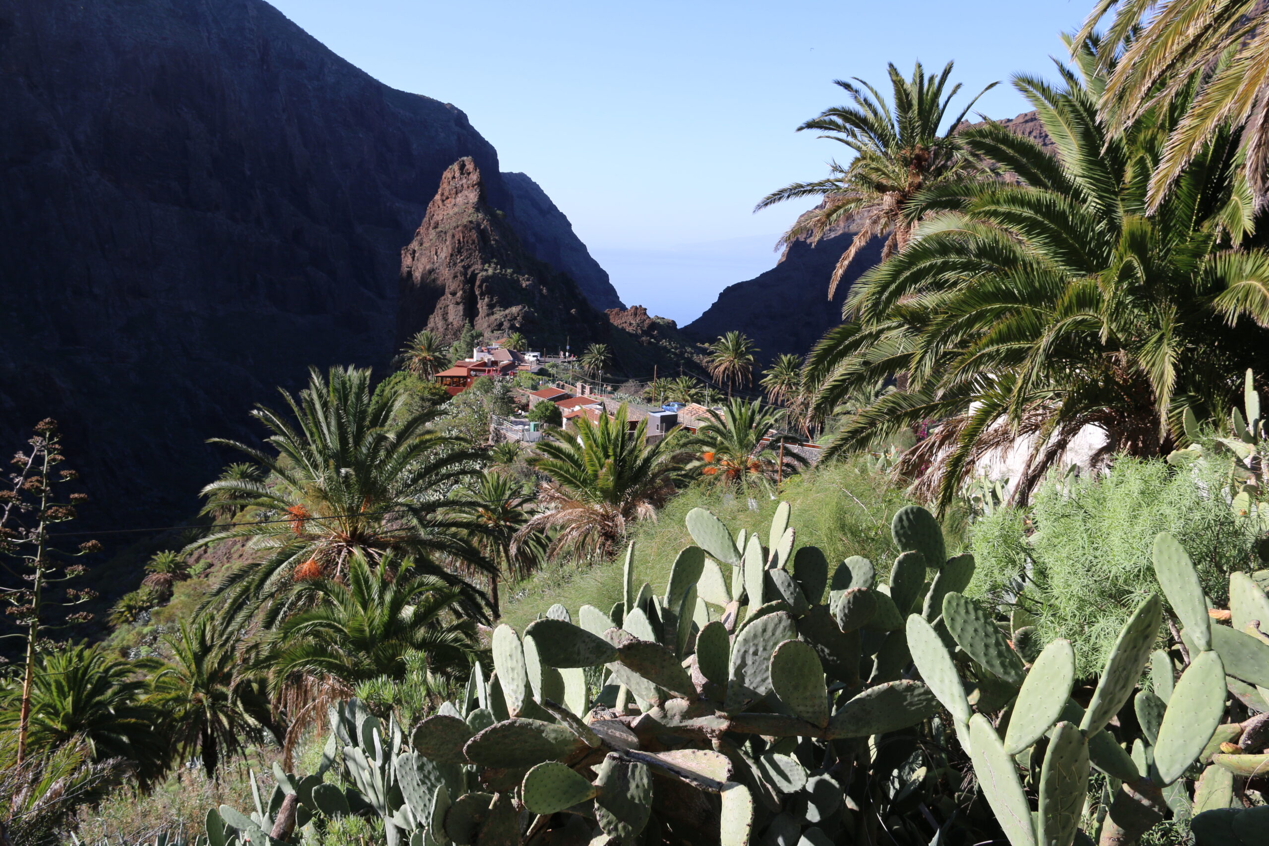 Hiking from Los Gigantes: the routes, the rules and staying safe
